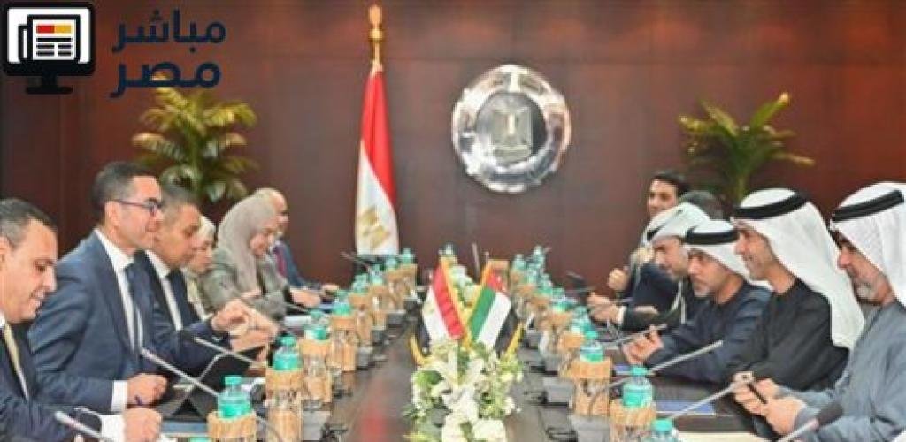مباحثات مصرية إماراتية لتعزيز التعاون التجاري والاستثماري بين البلدين