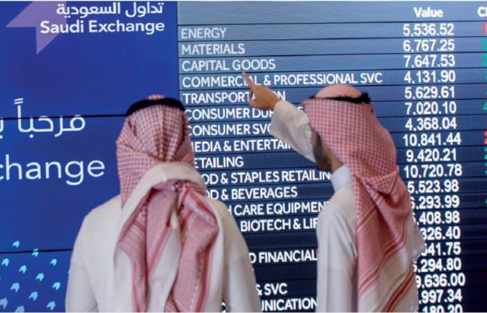 مباشر السعودية | إنفوجرافيك.. أعلى 15 سهماً بالسوق السعودي سجلت ارتفاعاً في عام 2024