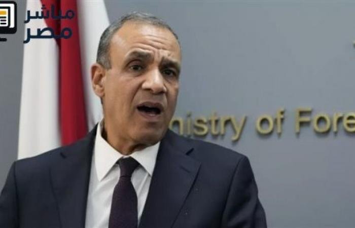 مصر تؤكد دعم وحدة سوريا ورفض الاعتداءات الإسرائيلية مع شروط دمشق للسلام