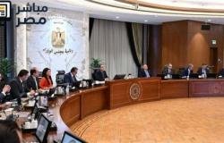 الحكومة: تحويلات المصريين بالخارج تسجل 34 مليار دولار خلال 10 أشهر